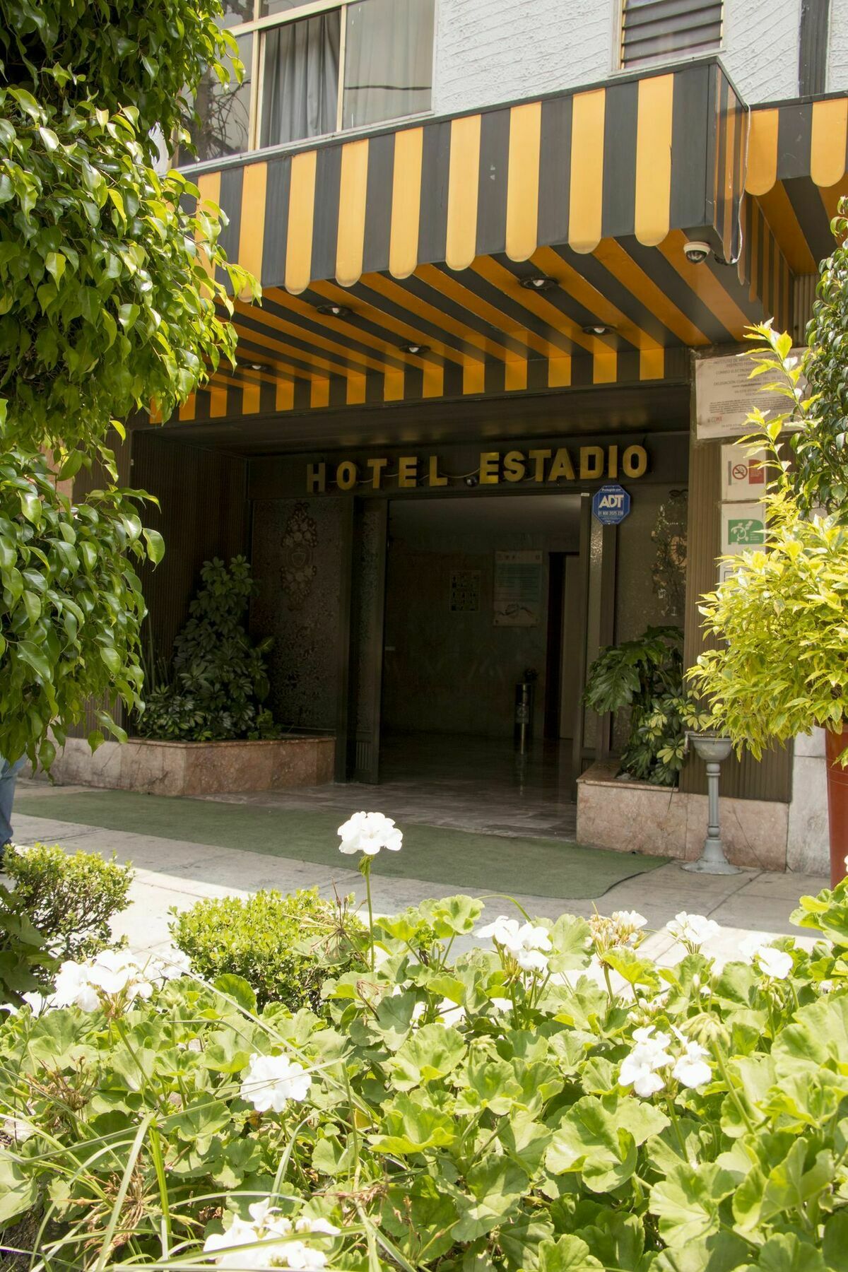 Hotel Estadio S.A Cidade do México Exterior foto